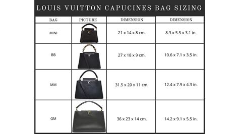 louis vuitton capucines bb size|louis vuitton capucine size chart.